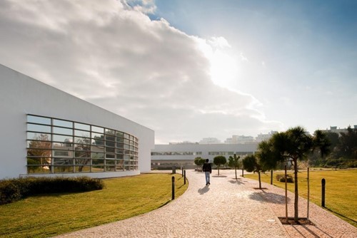 Universidade do Algarve abre inquérito após comportamentos sexistas na Semana Académica