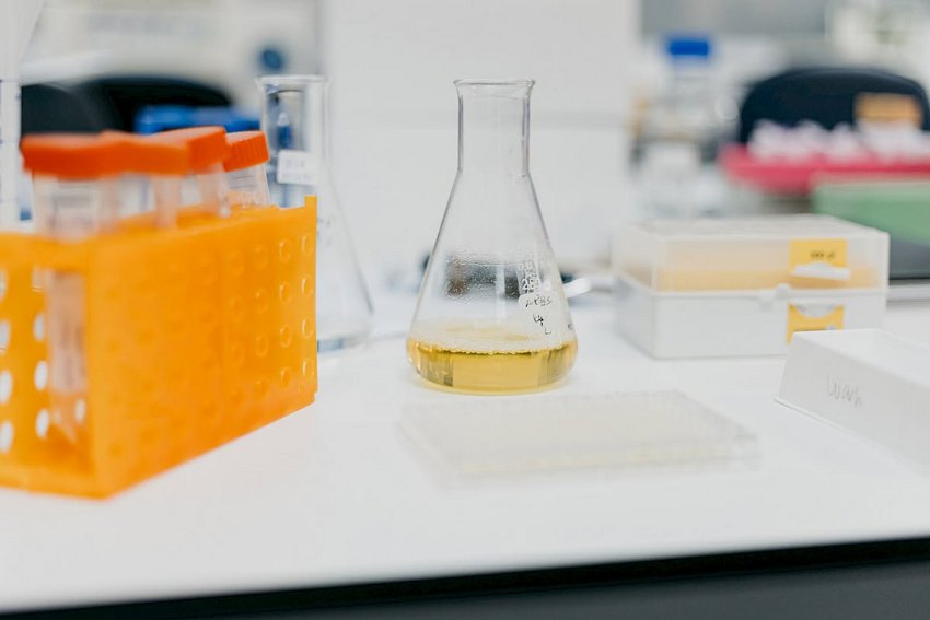 Variante de proteína que pode ajudar a controlar o cancro descoberta pela Universidade de Coimbra