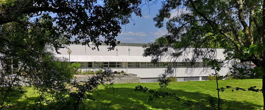 IPSantarém na coordenação de iniciativa mundial