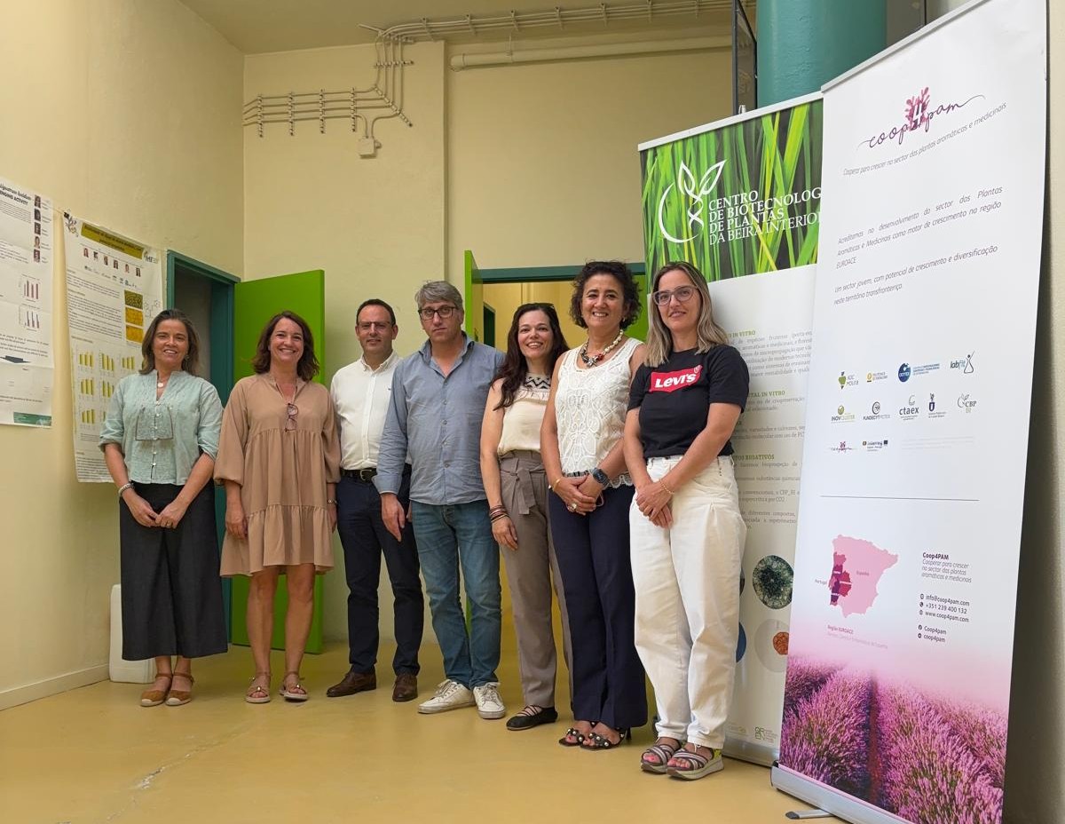 Castelo Branco: Universidade Politécnica aposta na micropropagação de plantas