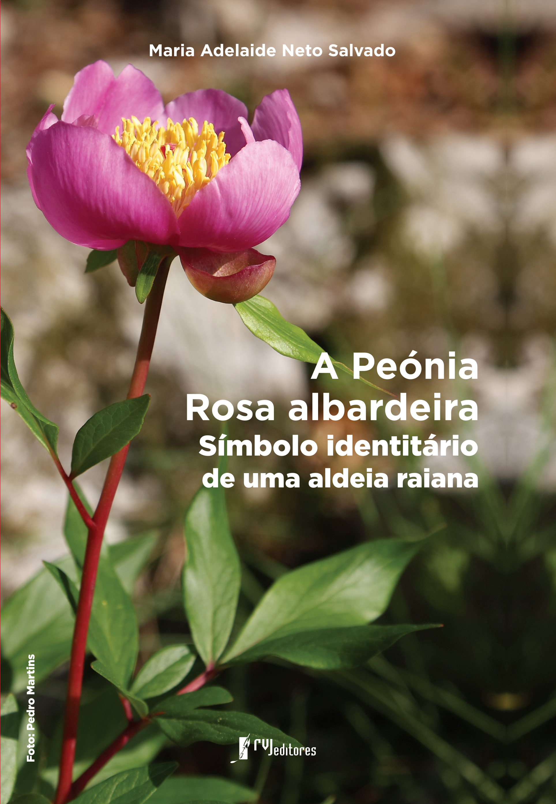 Novidades literárias