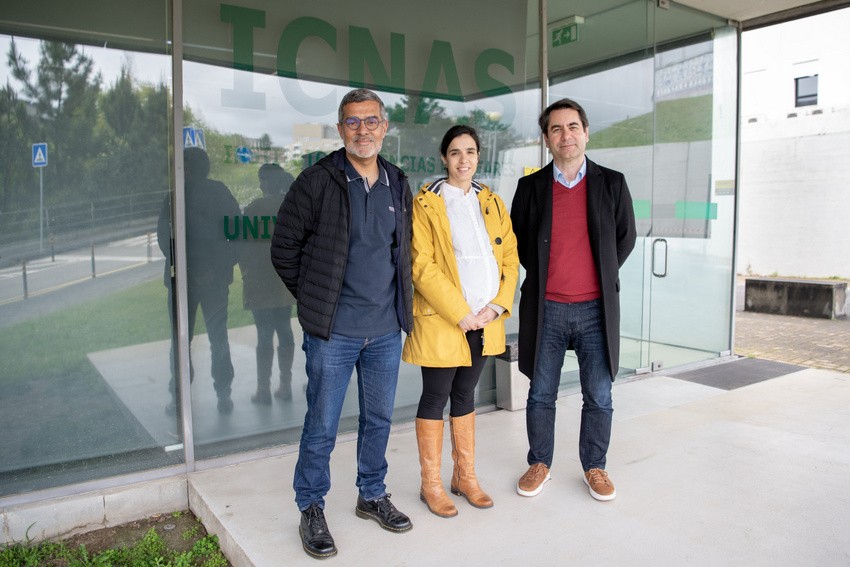 UCoimbra: IA usada para medir impacto nas doenças crónicas no envelhecimento cerebral  