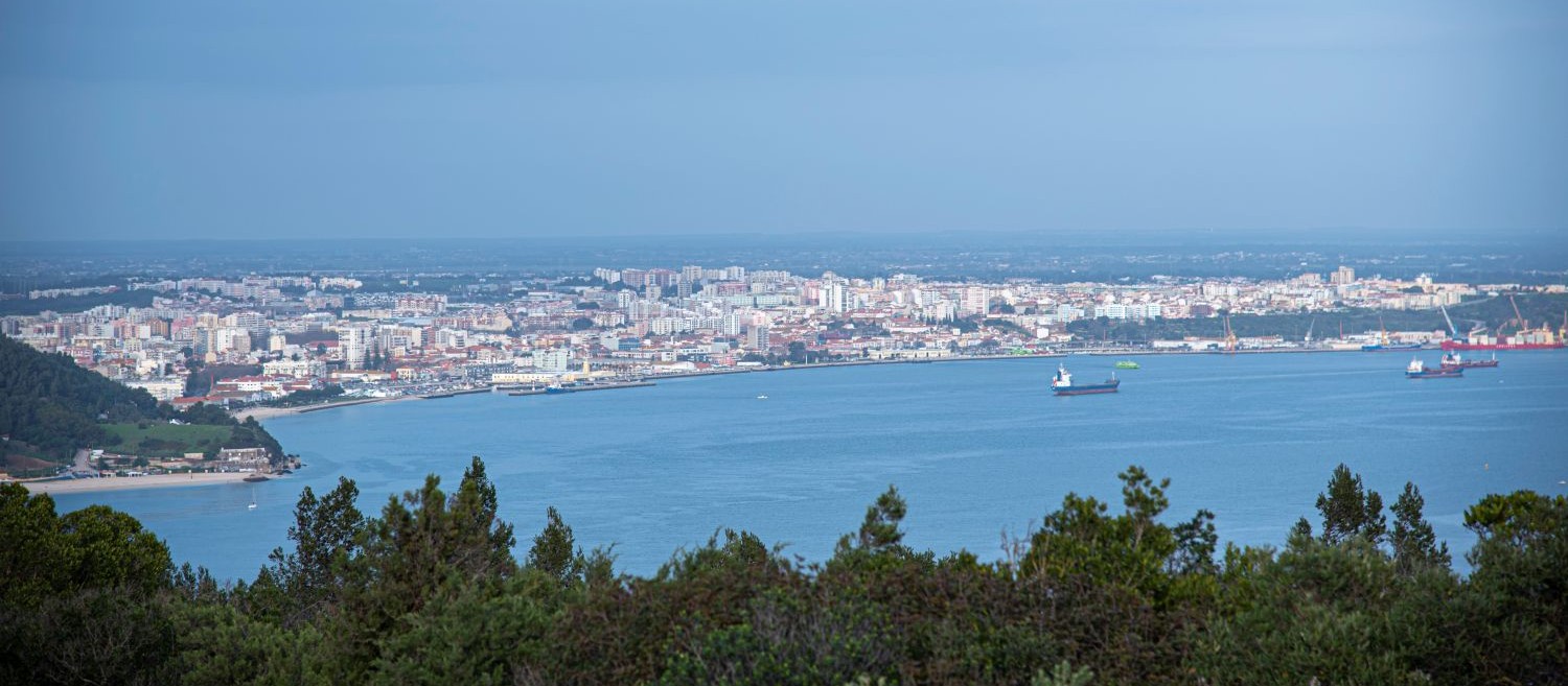 Politécnico de Setúbal lança guia sobre as maiores empresas
