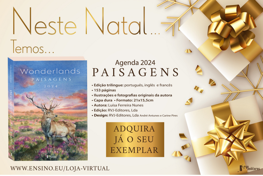 Publicidade Natal2 Net