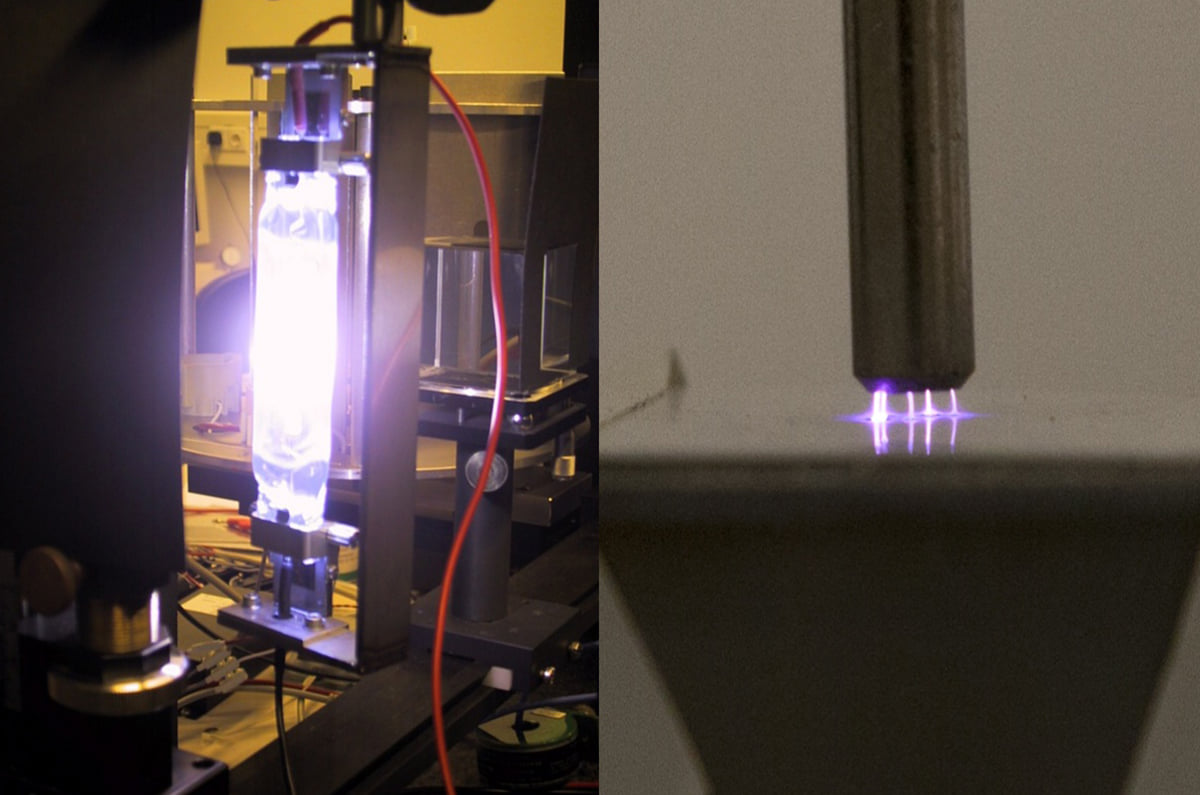 Pólo na Madeira no topo