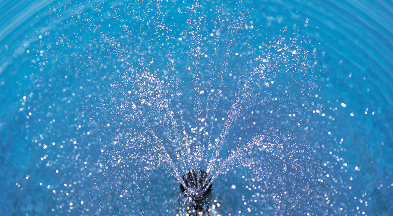 Universidade valoriza termas do Centro