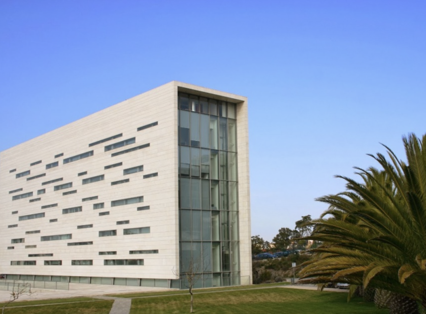 Eleição para reitor da Universidade Nova de Lisboa suspensa por decisão judicial