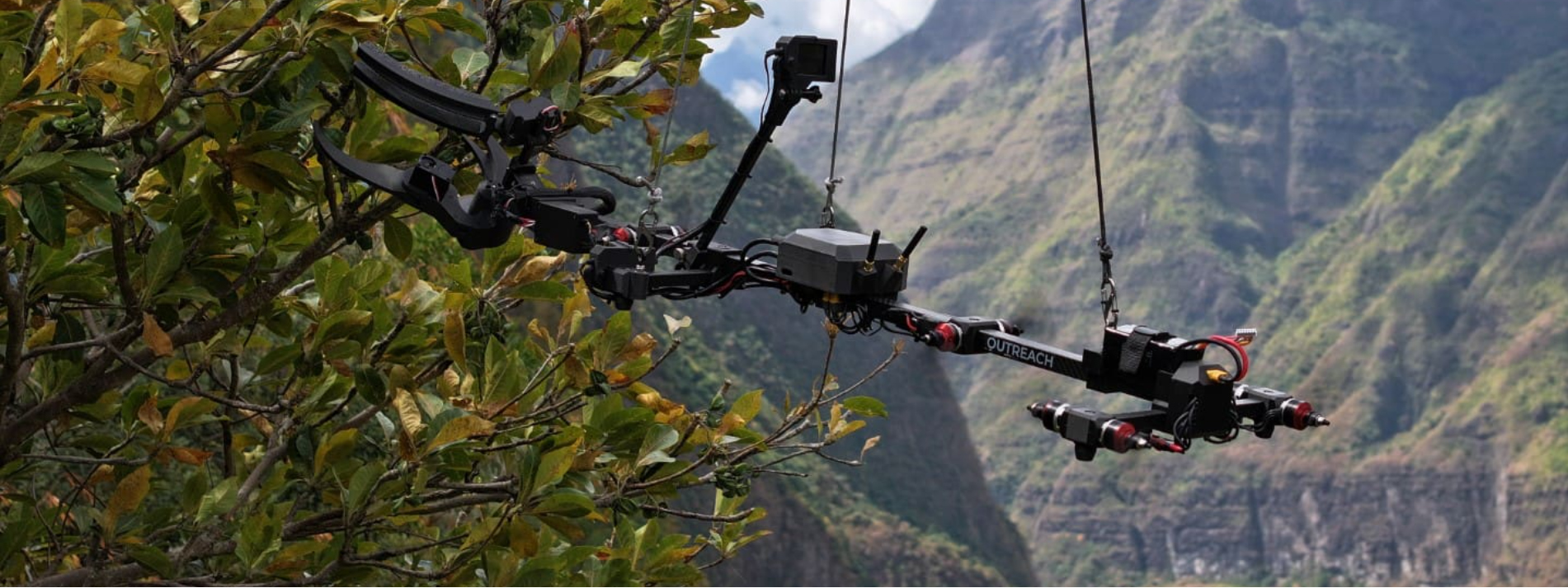 Universidade da Madeira recolhe plantas com drone