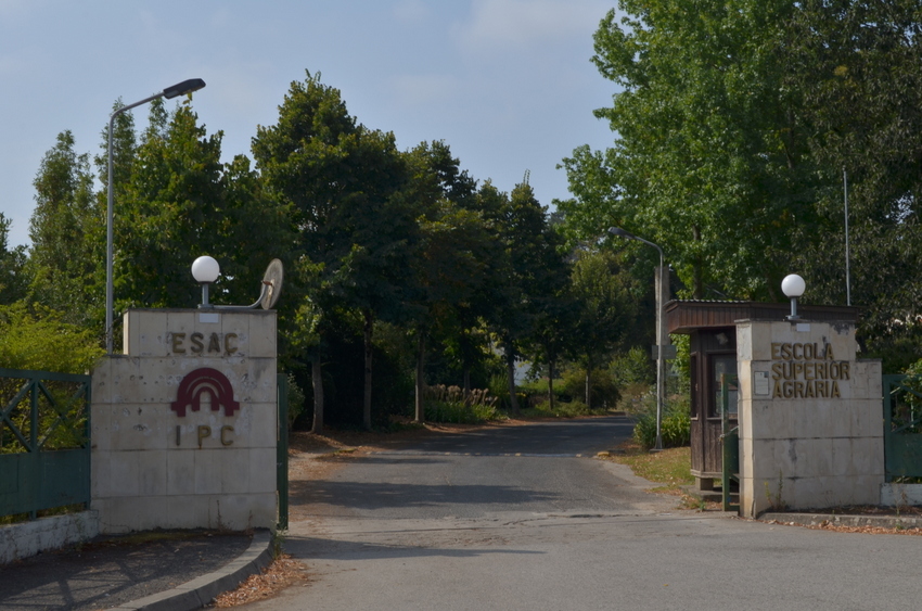 Politécnico de Coimbra: Agrária assinala dia do meio ambiente