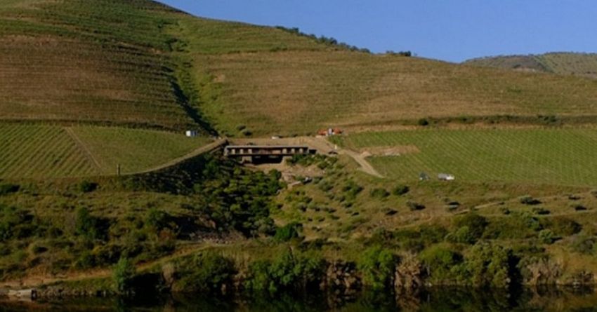 Guarda abre Enoturismo em Côa