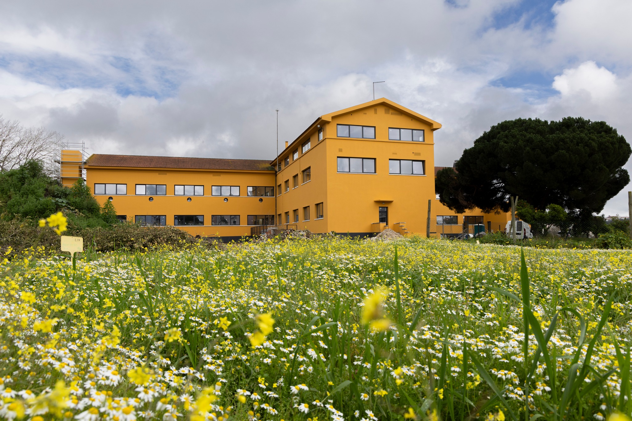 Politécnico de Santarém requalifica 436 camas em quatro residências com apoio do PRR