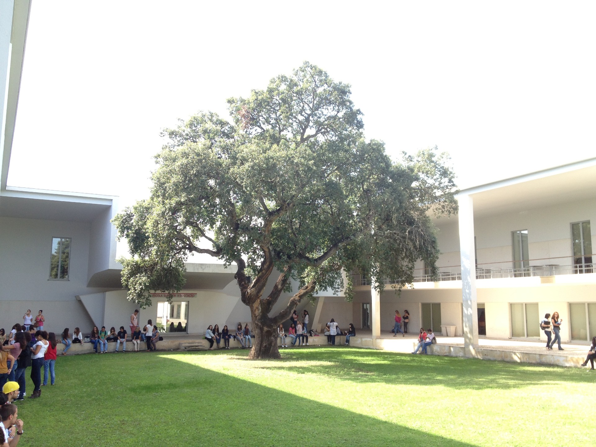 IPS organiza seminário