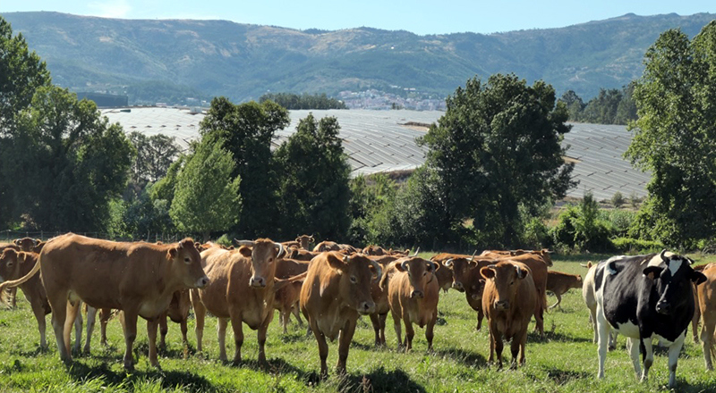 UBI participa em projeto europeu: Regenerar territórios é preciso