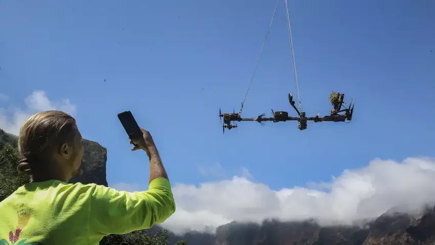 UMa recolhe plantas com drone