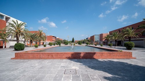 Aveiro lidera na ciência