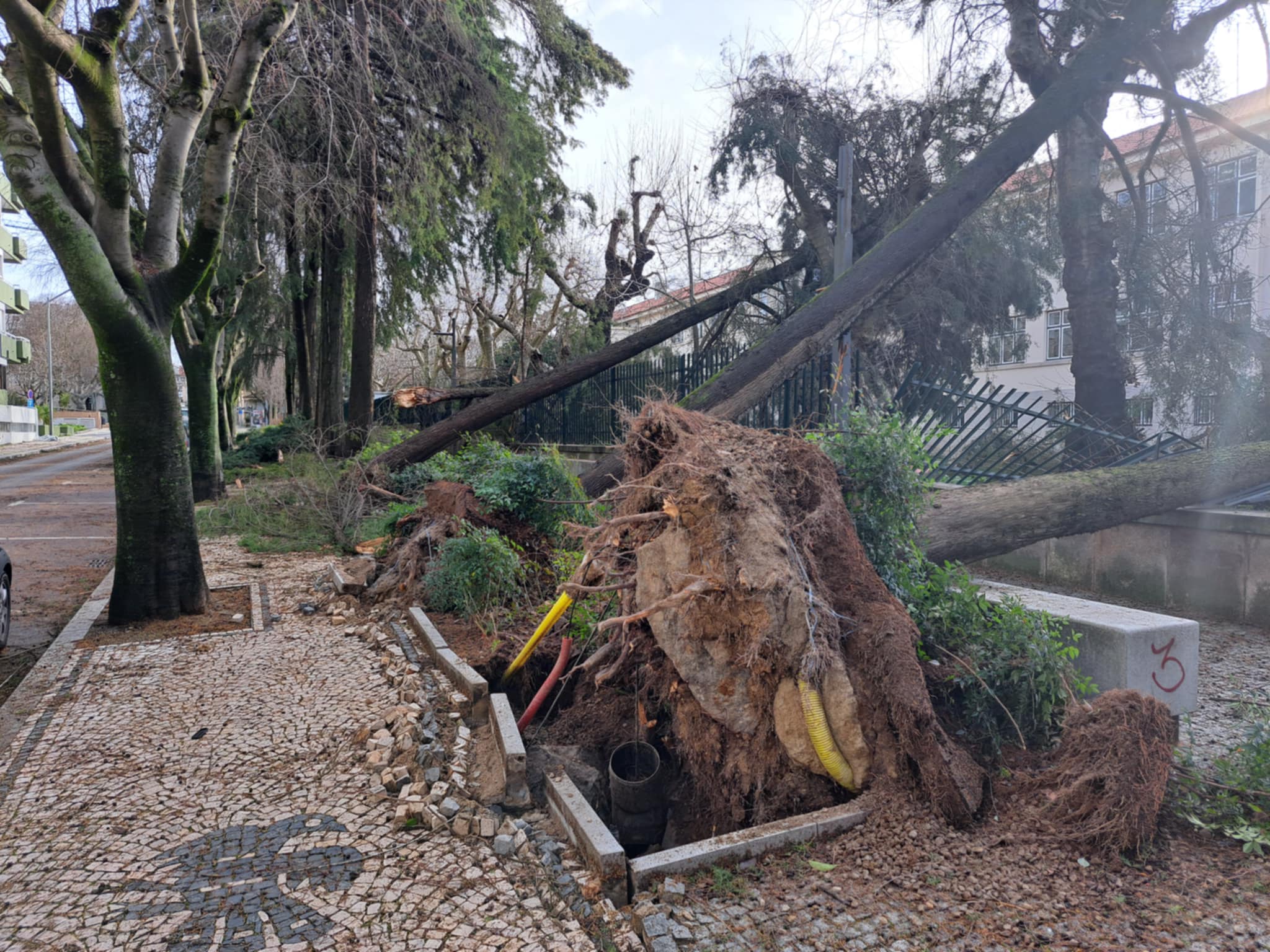 Politécnico de Leiria estuda impacto na população para autoridades melhorarem resposta
