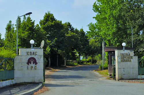 Escola de Pastores em junho