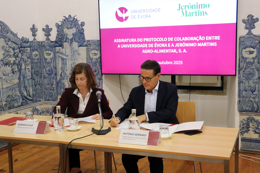 Évora com Cátedra do Solo