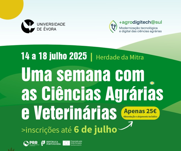 Banner Ensino Magazine Julho