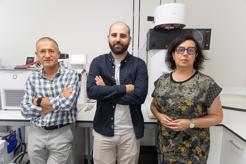 Nutrição funcional em Aveiro: Maracujá atenua inflamação asmática