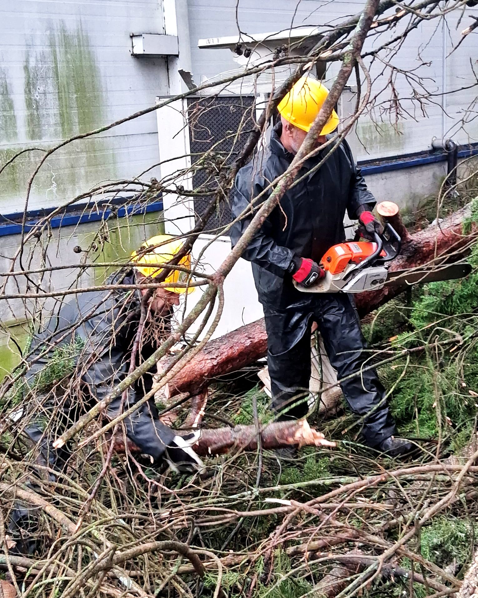 Politécnico de Bragança está com Leiria