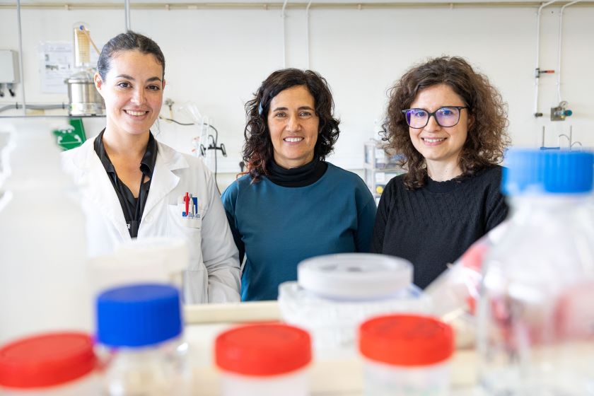 Investigadores da Universidade de Aveiro criam bioplástico com casca de cebola