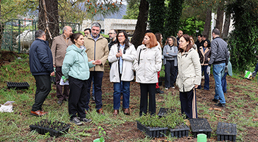UBI: Micro floresta plantada na Beira