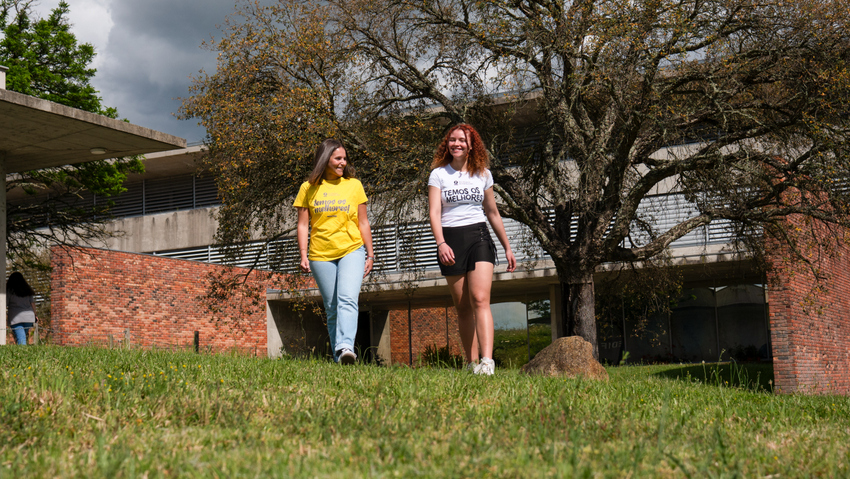 Politécnico de Portalegre: Mais de 800 camas para estudantes