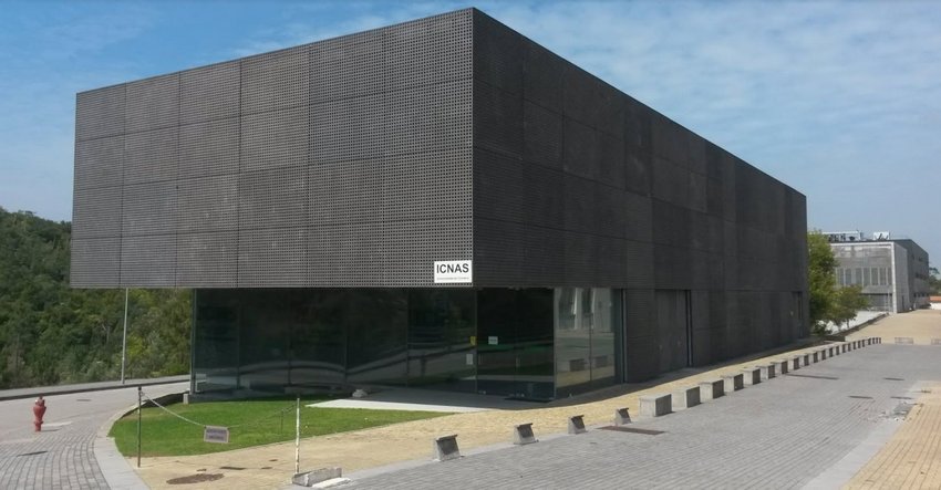 UC: Candidaturas abertas para o Prémio Pedroso de Lima
